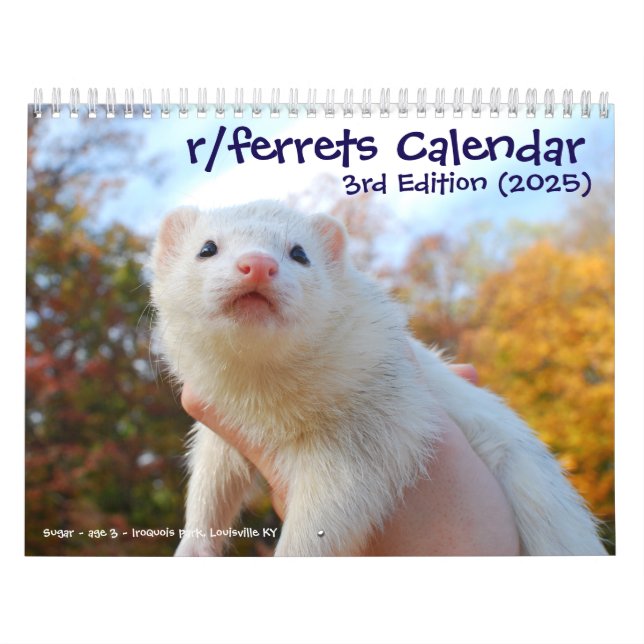 Calendário r/furões Calendar 3ª Edição (2025) (Capa)