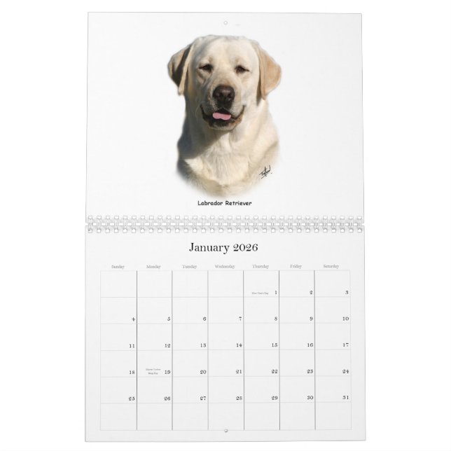 Calendário Raças de Gundog (Jan 2026)