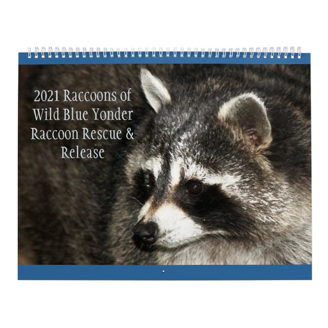 Calendário Raccoons of Wild Blue Yonder 2021 (Capa)