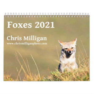 Calendário Raposas 2021, por Chris Milligan
