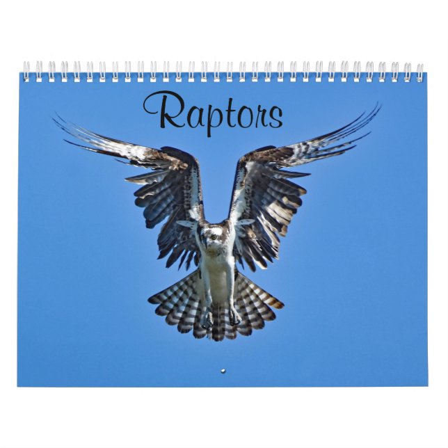 Calendário Raptores (Capa)