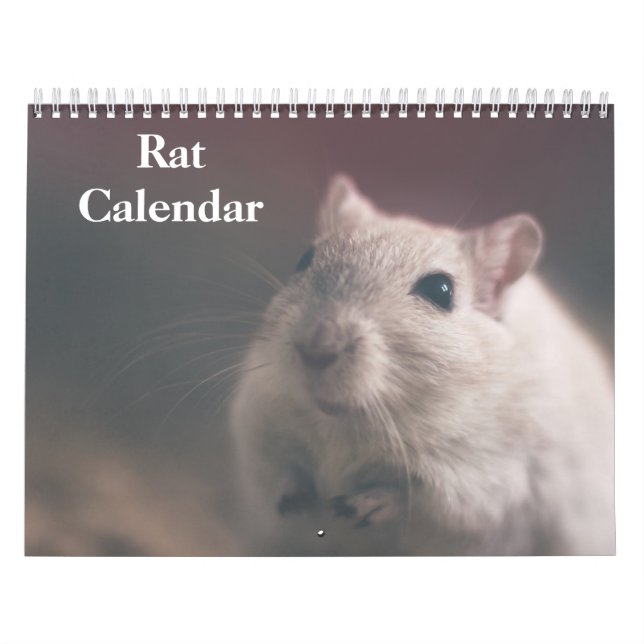 Calendário Rato 2027 (Capa)