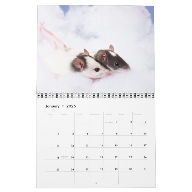 Calendário Ratty inquisidor 2011 (Jan 2026)