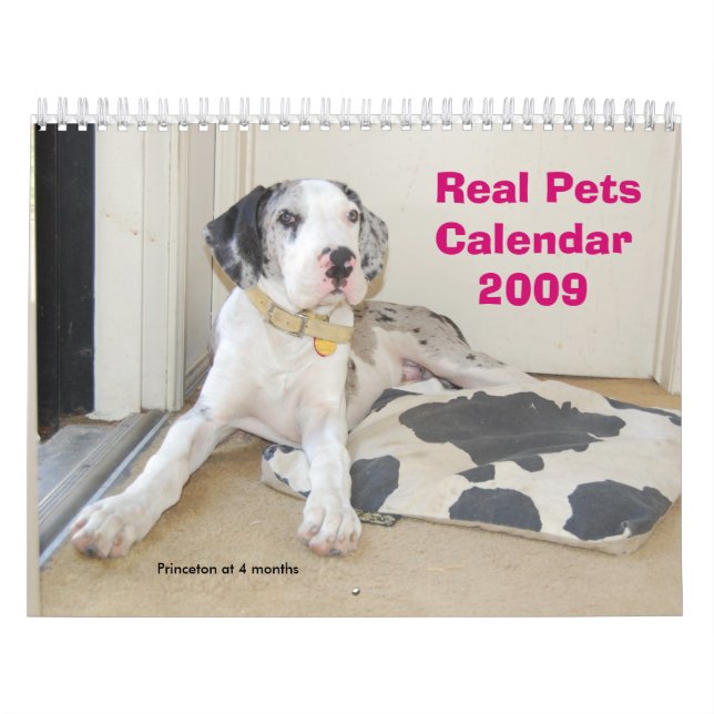 Calendário real dos animais de estimação 2009 (Capa)