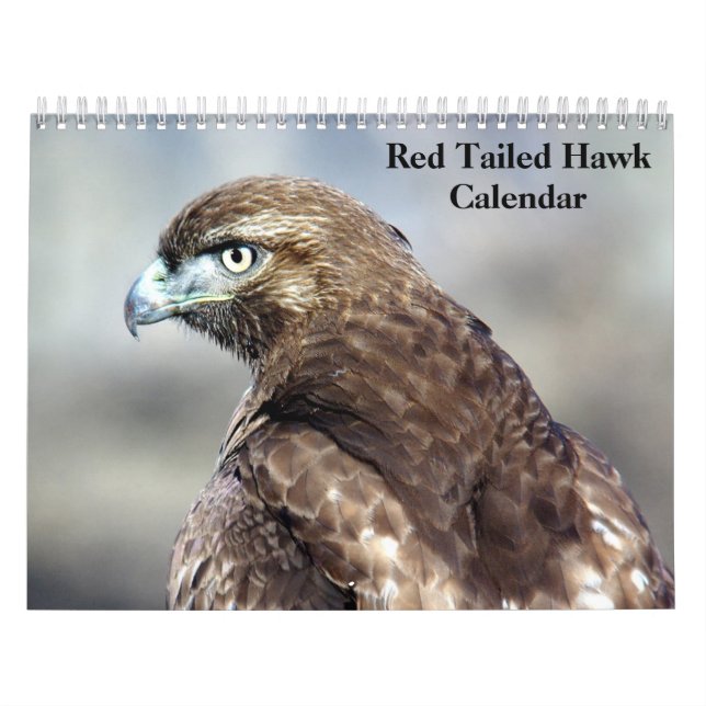 Calendário Red Tailed Hawk 2025 (Capa)