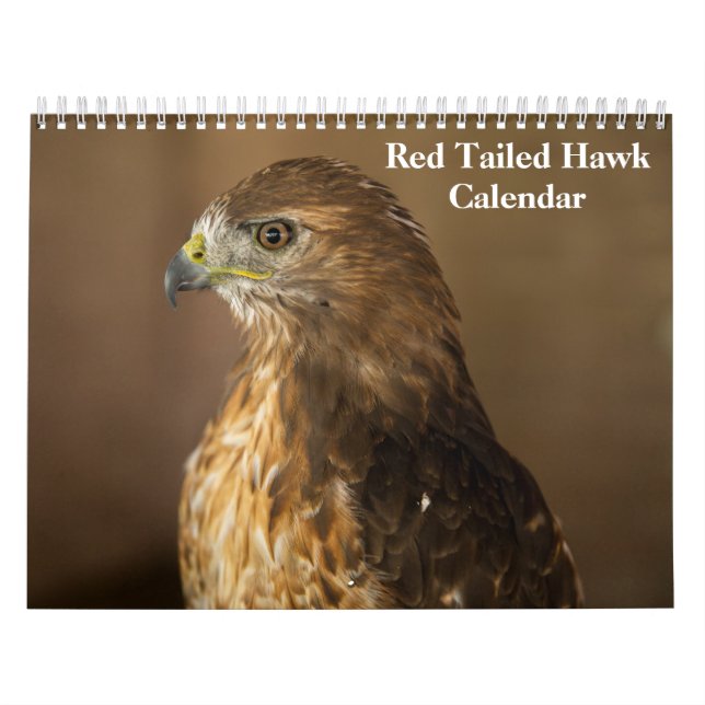 Calendário Red Tailed Hawk 2025 (Capa)
