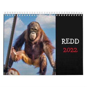 Calendário Redd 2022