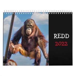 Calendário Redd 2022