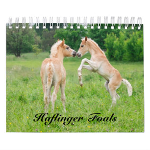 Calendário Refeições de haflinger - tamanho pequeno