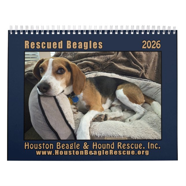 Calendário Rescued Beagles 2026 Wall Calendar (Capa)