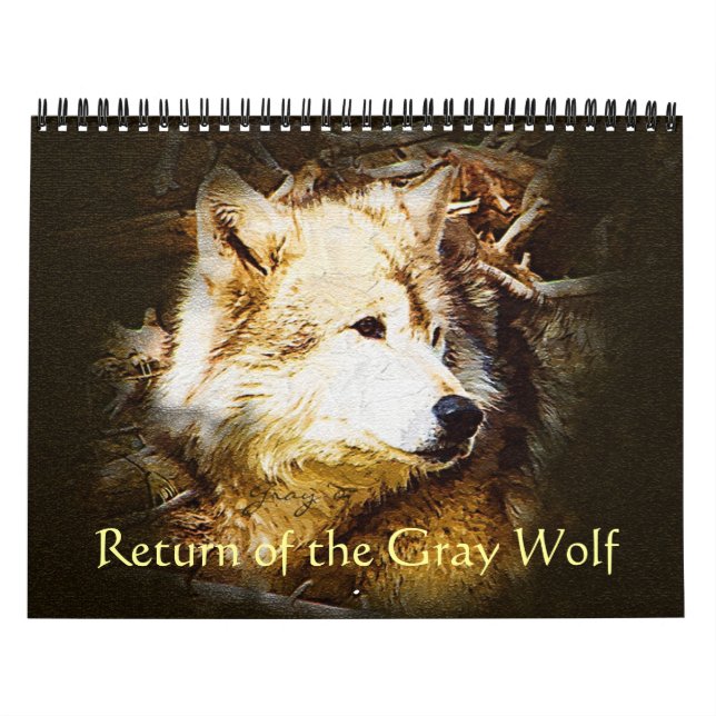 Calendário Retorno do lobo cinzento (Capa)