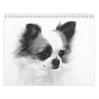 Calendário Retratos Chihuahua pintados manualmente