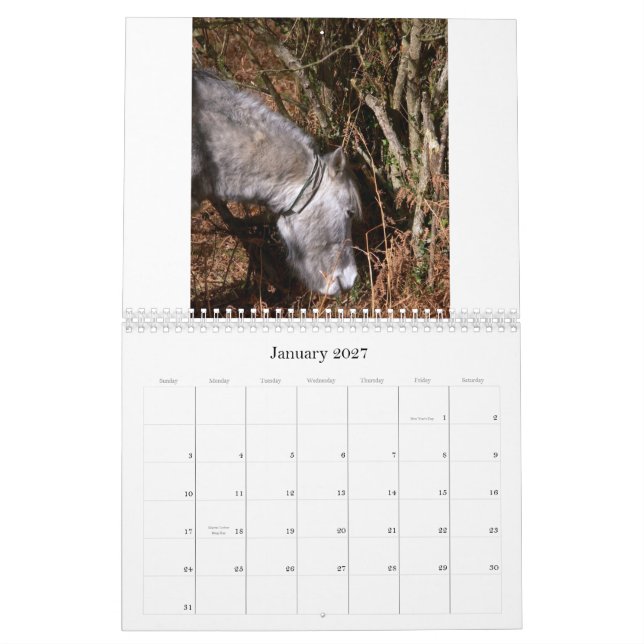 Calendário Rick 2008 fotos aleatórios C… (Jan 2027)