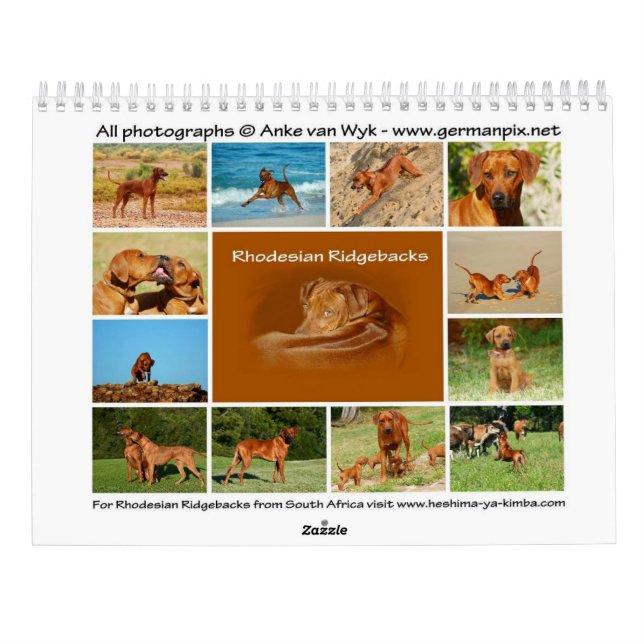Calendário Ridgeback da Rodésia (Verso)