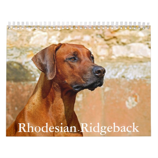 Calendário Ridgeback da Rodésia (Capa)