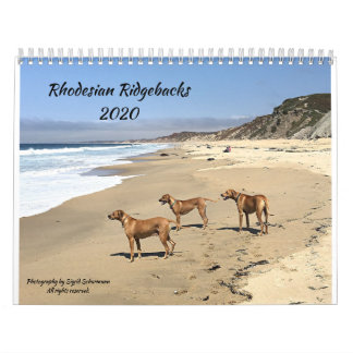 Calendário Ridgeback da Rodésia 2020