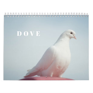 Calendário Rola Branca Pombinha Amor & Paz Símbolo Ave