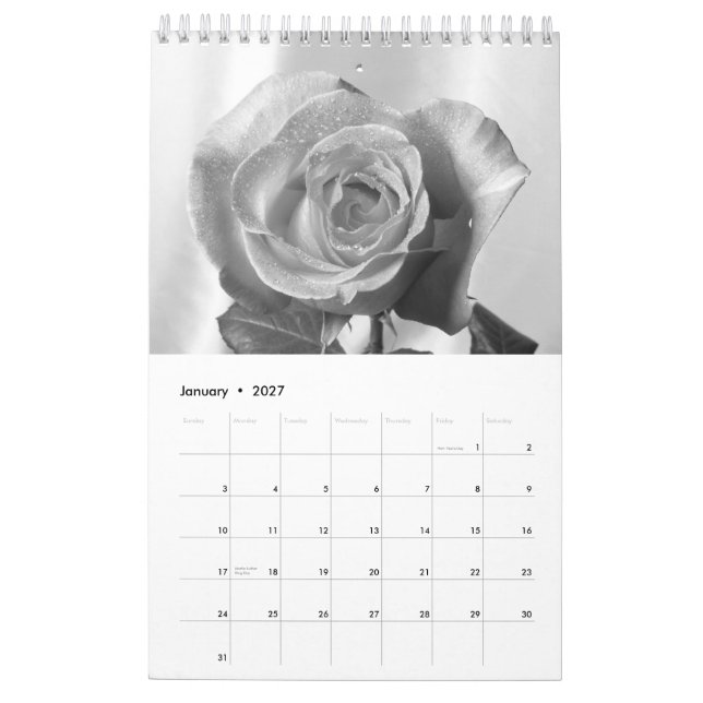 Calendário Rosa 2015 - de volta no tempo (Jan 2027)