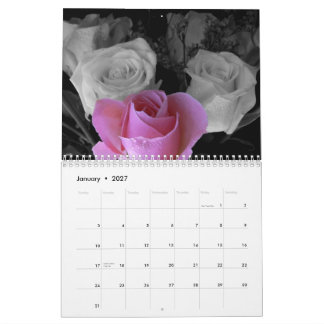 Calendário Rosa 2027