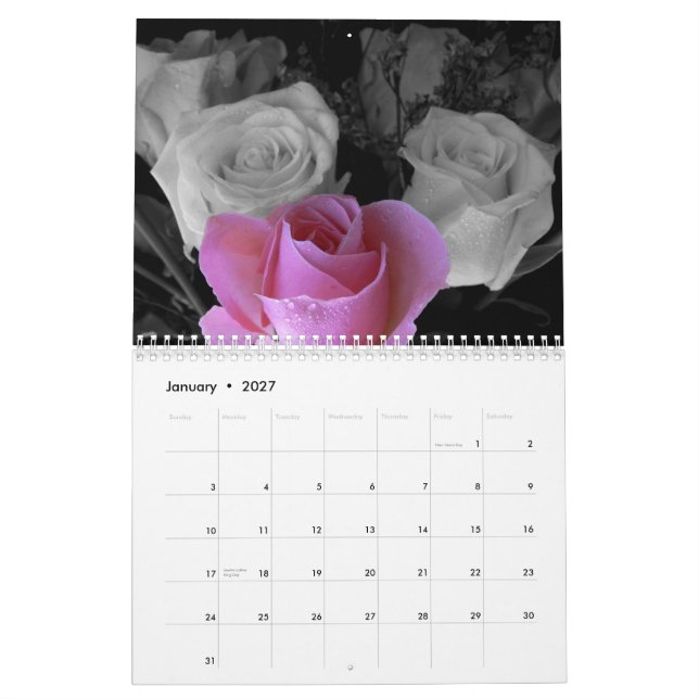 Calendário Rosa 2027 (Jan 2027)