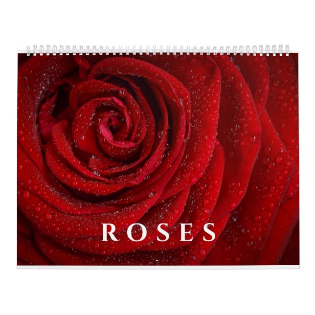 Calendário Rosa de Elegante e Trabalho de arte de fotografia  (Capa)