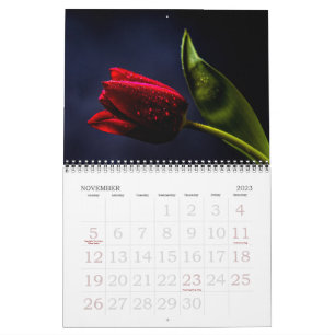 Calendário Rosa de Tulipas Elegante Fotografia Floral Design