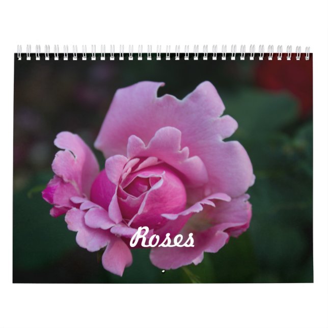 Calendário Rosas (Capa)