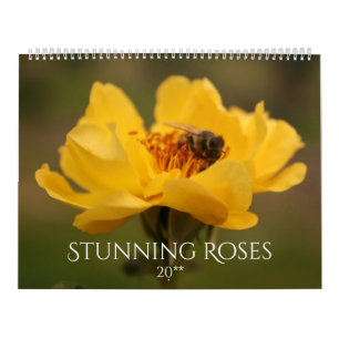 Calendário Rosas impressionantes