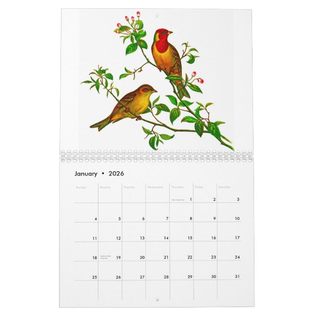Calendário Rosella amarelo (Jan 2026)