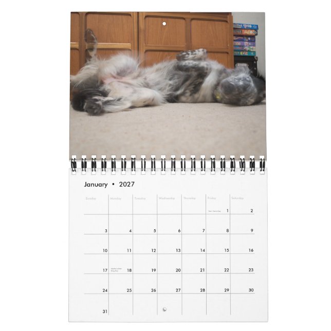 Calendário Rosie 2010 (Jan 2027)