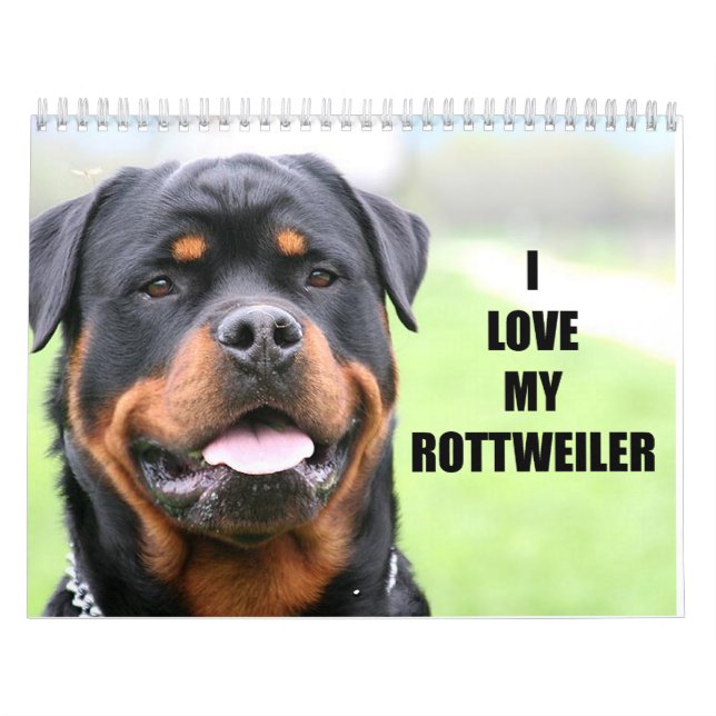 Calendário Rottweiler (Capa)
