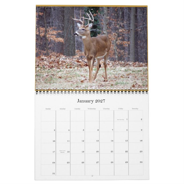 Calendário rSEANd - natureza (Jan 2027)
