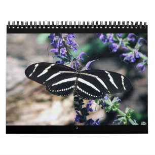 Calendário rSEANd - natureza