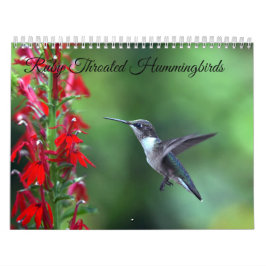Calendário Ruby Throated Hummingbird 2025Calendar