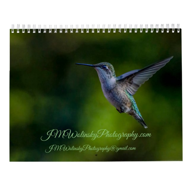 Calendário Ruby Throated Hummingbird 2025Calendar (Verso)
