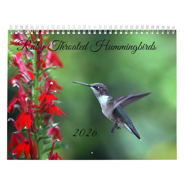 Calendário Ruby Throated Hummingbird 2026  Calendar (Capa)