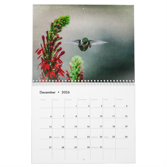 Calendário Ruby Throated Hummingbirds (Dez 2026)