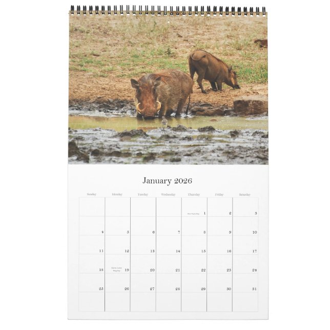 Calendário Safari 2012 de África dos animais selvagens (Jan 2026)