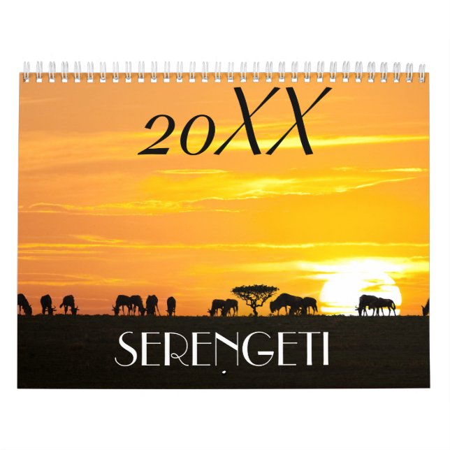Calendário safari africano (Capa)