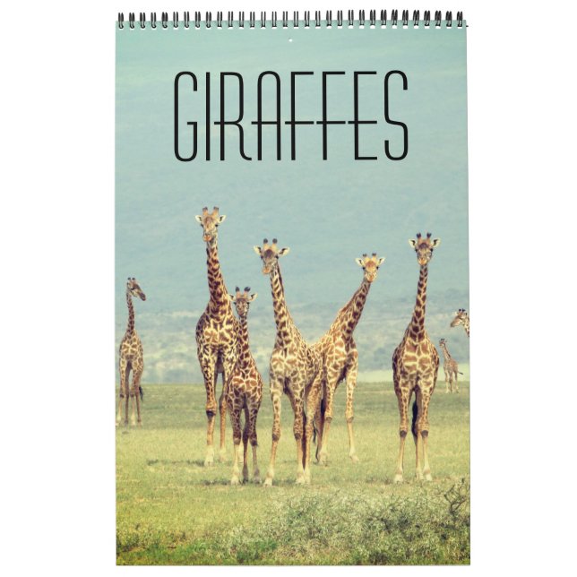 Calendário safari africano de girafa (Capa)