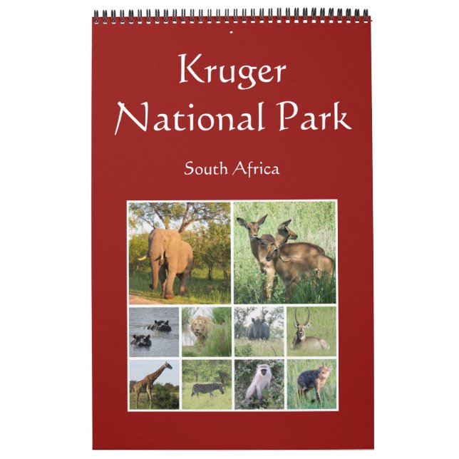 Calendário safari africano kruger (Capa)