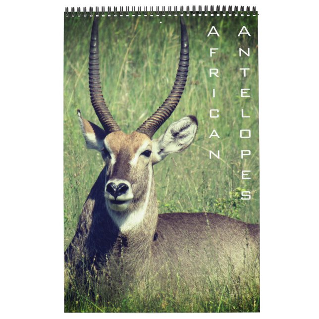 Calendário safari de antílope africano 2027 (Capa)