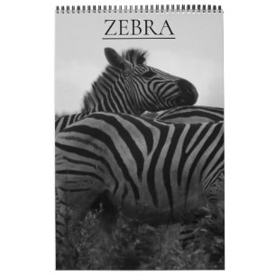 Calendário safari de zebras