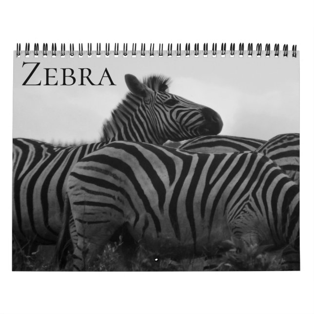 Calendário safari de zebras 2026 (Capa)