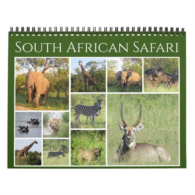Calendário safari sul-africano 2026 (Capa)