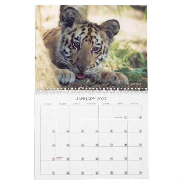 Calendário salvado dos animais (Jan 2027)