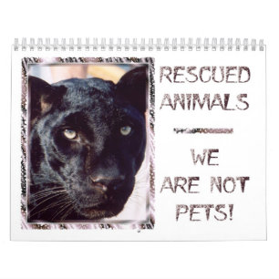 Calendário salvado dos animais