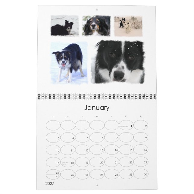 Calendário Salvamento de Collie de Fronteira 2008 (Jan 2027)