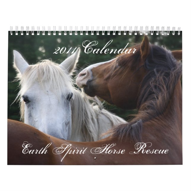 Calendário Salvamento do cavalo do espírito da terra, (Capa)