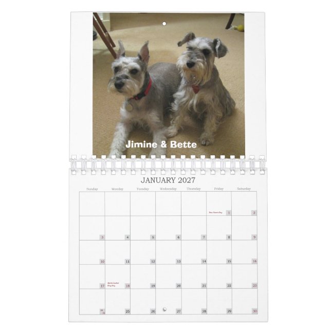 Calendário Salvamento do Schnauzer do 2012 meio-Atlântico (Jan 2027)